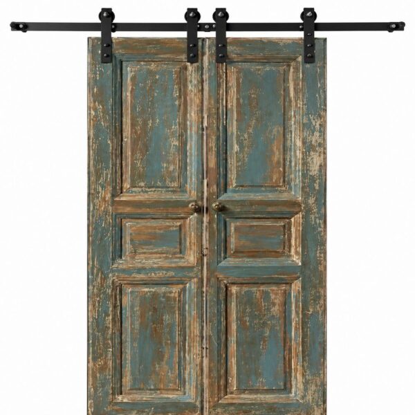 Vintage Turquoise Double Sliding Door