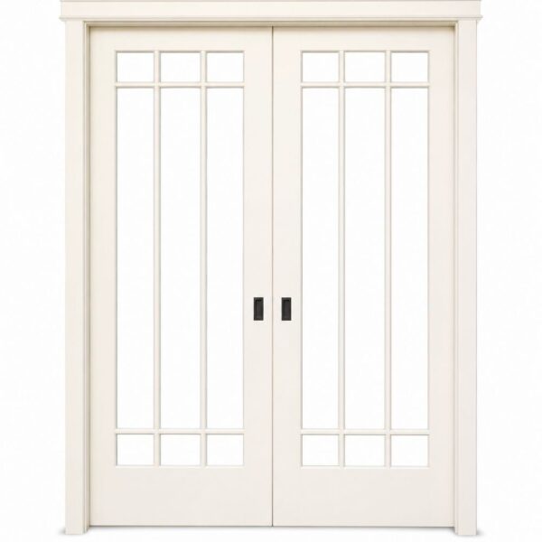 Double Interior Glass Pocket Door